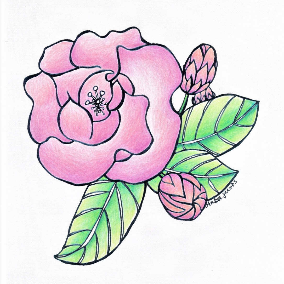 pink flower aroma factor_20170502_0001 (2)